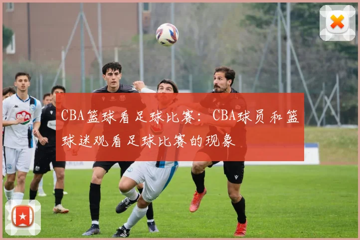 CBA篮球看足球比赛:CBA球员和篮球迷观看足球比赛的现象