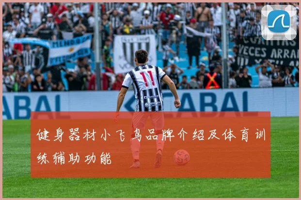 健身器材小飞鸟品牌介绍及体育训练辅助功能