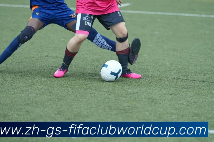 世界杯赛程平台生态图